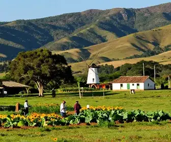 Agroturismo: Descubra Venda Nova do Imigrante no Espírito Santo