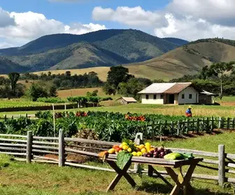 Agroturismo: Uma Experiência Única no Espírito Santo