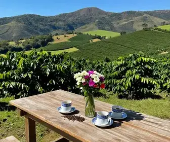 Cafés Especiais no Espírito Santo: Uma Experiência Gastronômica Única