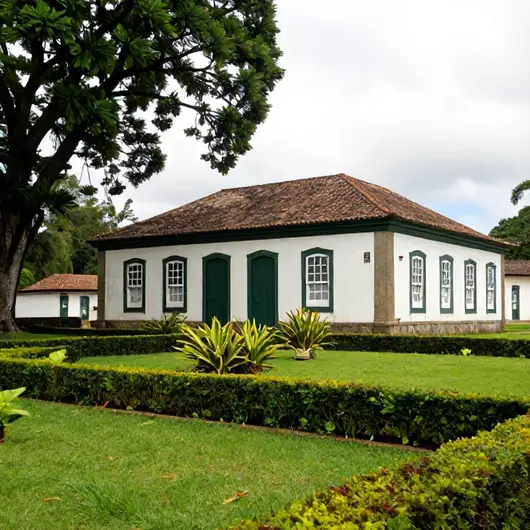 Colonização Colonização