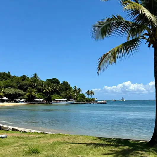 Descubra a Ilha Das Caieiras Descubra a Ilha Das Caieiras