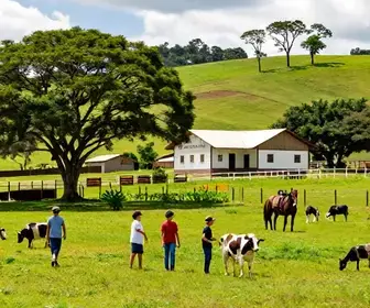 Descubra a melhor atração do Espírito Santo: Rico Caipira
