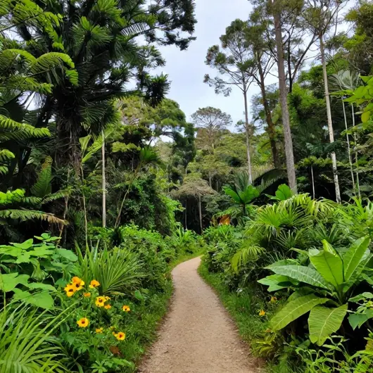 Descubra a Reserva Natural Vale