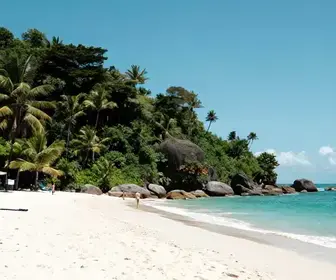 Descubra as Encantadoras Praias da Enseada Azul no Espírito Santo Descubra as Encantadoras Praias da Enseada Azul no Espírito Santo
