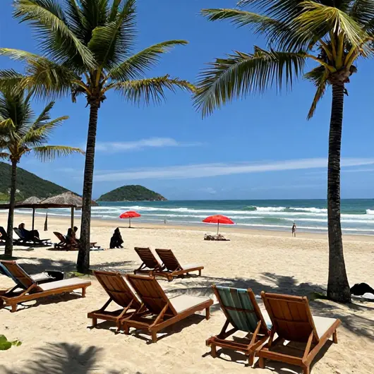 Descubra o Banana's Beach Club