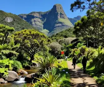 Descubra o Parque Estadual Forno Grande no Espírito Santo