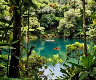 Descubra o Parque Estadual Paulo César Vinha: Natureza e Aventura no Espírito Santo