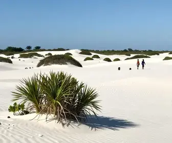 Explorando as Deslumbrantes Dunas de Itaúnas no Espírito Santo