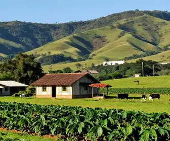 Explorando o Agroturismo em Santa Teresa, ES