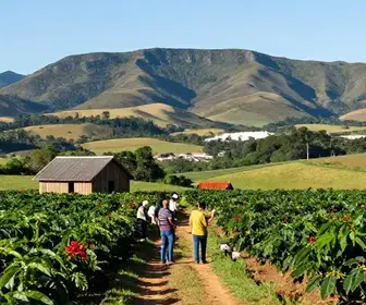 Explorando o Agroturismo no Espírito Santo: Um Roteiro Imperdível