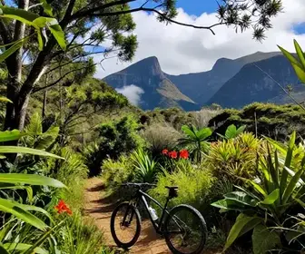 Explorando o Ciclismo no Espírito Santo: Aventura e Natureza