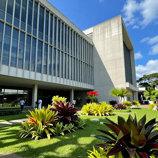 Explorando o Museu de Arte do Espírito Santo