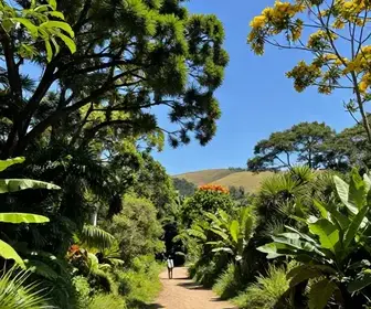 Explorando o Parque Estadual Itaúnas: Beleza Natural do Espírito Santo