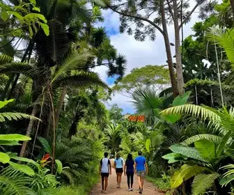 Explorando Trilhas Fáceis no Espírito Santo: Aventuras ao Seu Alcance