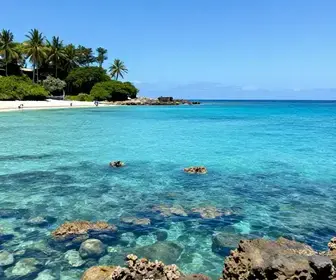 Melhores Praias para Mergulho no Espírito Santo Melhores Praias para Mergulho no Espírito Santo