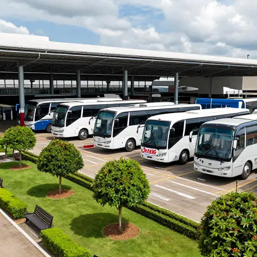 Viação Real: Conheça a Melhor Opção de Transporte